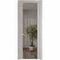 Межкомнатная дверь эмаль Profil Doors 1.7P сэнд зеркало