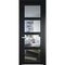 Межкомнатная дверь эмаль Profil Doors 1.4.2PD блэк остеклённая