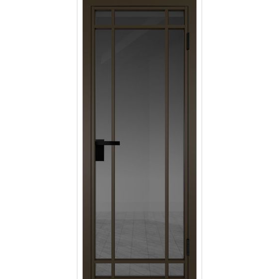 Межкомнатная дверь алюминиевая Profil Doors 5AG деорэ остеклённая