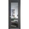 Межкомнатная дверь эмаль Profil Doors 2.5.2PD графит остеклённая