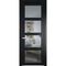 Межкомнатная дверь эмаль Profil Doors 2.4.2PD блэк остеклённая