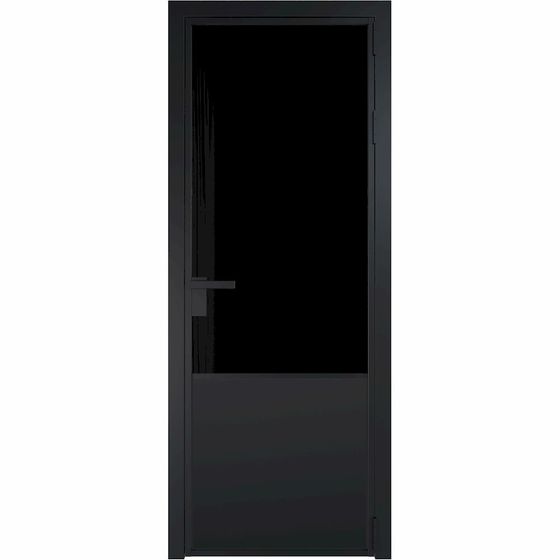 Алюминиевая дверь 19AG чёрная матовая RAL9005 стекло чёрный триплекс